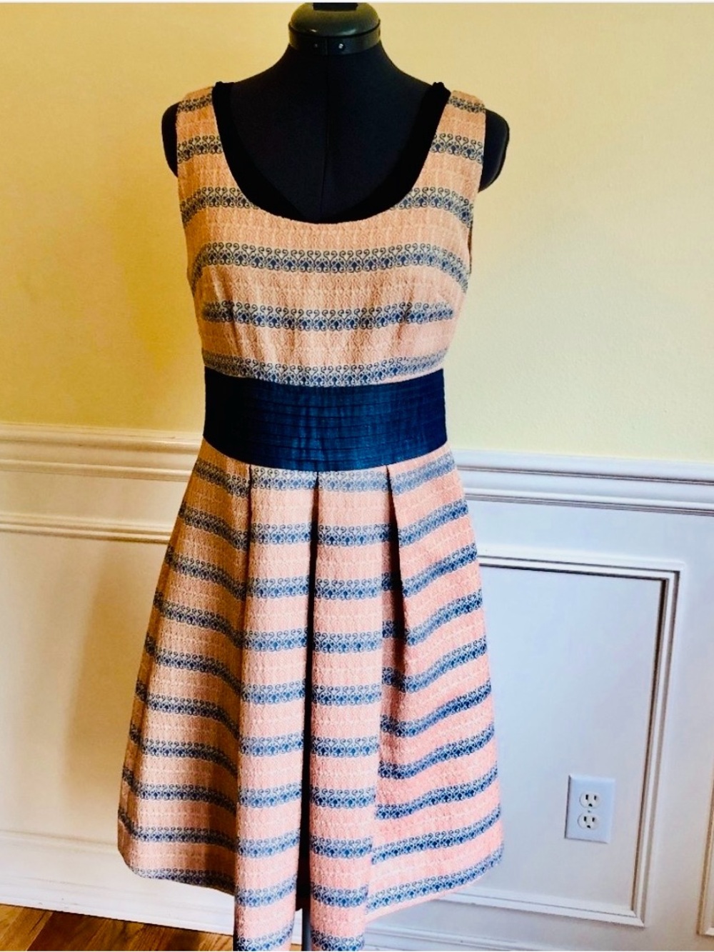 Anthropologie Eva Franco Pleated Retro 50s Dress 6 Fit & Flare Gorgeous Feminine